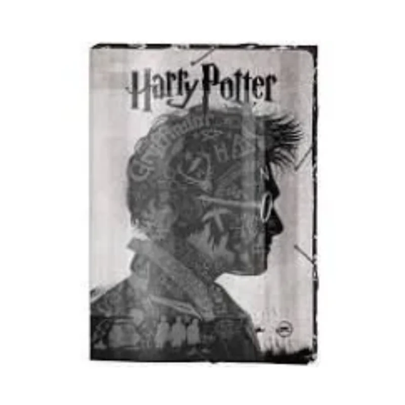 Pasta Harry Potter Ofício Pol. – DAC